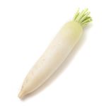 鹿児島県 などの国内産 だいこん 1本 【12月1日～12月2日のお受取り】