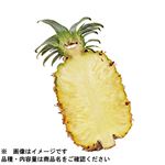 沖縄県などの国内産 ボゴールパイン1／2カット 1袋 【5月23日～5月25日のお受取り】