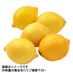 トップバリュ アメリカ などの国外産 皮ごと食べられるレモン大P 5個入 1パック