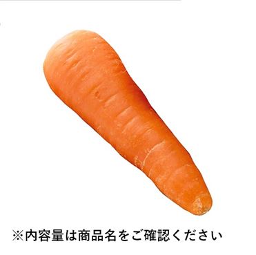 おうちでイオン イオンネットスーパー 徳島 千葉県などの国内産 にんじん Lサイズ1本 おうちでイオン イオンネットスーパー 徳島 千葉県などの国内産 にんじん Lサイズ1本