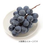 長野県などの国内産 ぶどう（ナガノパープル）1房