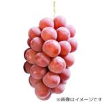 長野県などの国内産 ぶどう（クイーンルージュ）1房