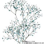 染めかすみ草 ブルー系 1本【置き楽配送指定不可】