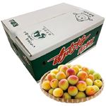 【予約】和歌山県産（JA紀南）南高梅 3kg箱（中玉・Lサイズ）1箱 【6／10－14配送】
