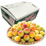 【予約】和歌山県産（JA紀南）南高梅 3kg箱（大玉・2Lサイズ）1箱 【6／10－14配送】
