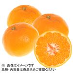 和歌山県などの国内産 はるみ 1袋 【3月20日－23日のお受取り】