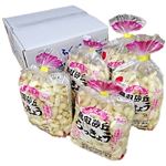 【予約】鳥取県産（JA鳥取いなば）ふくべ砂丘らっきょう（Sサイズ1kg×5袋）1箱 【6／10－14配送】