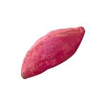 鹿児島県 などの国内産 さつまいも 1本 【12月1日～12月2日のお受取り】