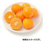 トップバリュ トルコ などの国外産 手で皮がむけるオレンジ（特大）1パック