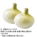 トップバリュ減の恵み 兵庫県 などの国内産 新たまねぎ 3～4個入 1袋