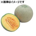 北海道産 赤肉メロン 1個   【7／4～7／6お渡し】