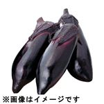 トップバリュ 減の恵み 茨城県などの国内産 なす 3本入 1袋