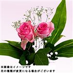 バラブーケ 赤ピンク系 1束【置き楽配送指定不可】