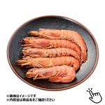 アルゼンチン産 アルゼンチン赤えび（解凍）大 1尾   【8／23お渡し】