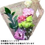 トルコキキョウブーケ 1束【置き楽配送指定不可】