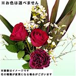 オータムブーケL 1束※お色は選べません【置き楽配送指定不可】