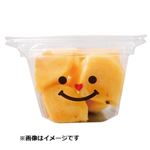 新潟県または和歌山県などの国内産 柿ブロック 大パック 1パック   【10／25お渡し】