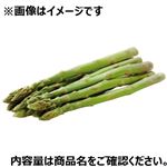 佐賀県などの国内産 アスパラガス 1束   【3／14～3／16お渡し】