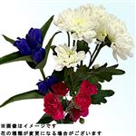 りんどうブーケ 1束【置き楽配送指定不可】