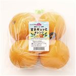 オーストラリア などの国外産 トップバリュ 甘さギュッとオレンジ 袋 1個