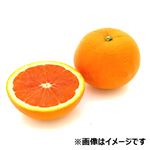 オーストラリア などの国外産 トップバリュ 果汁ギュッとオレンジ（ピンクネーブル）袋 1袋