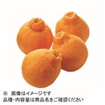 広島県などの国内産 しらぬい 1袋