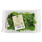 三重県などの国内産 トップバリュグリーンアイオーガニックベビーリーフ 1パック 【11月7日～11月9日のお受取り】