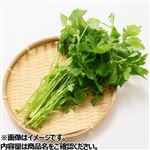 愛知県などの国内産 三つ葉（少量）1袋