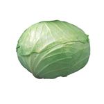 群馬県などの国内産 キャベツ 1玉