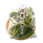 長野県などの国内産 摘果きゅうり 500g 1パック