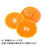 トップバリュ トルコ産 手で皮がむけるオレンジ 1個