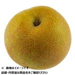 愛知県などの国内産 豊水なし 1個 【9月5日～9月7日のお受取り】