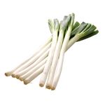 栃木県などの国内産 白ねぎ大袋（4～5本）