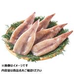 【冷凍】アルゼンチンマツイカ（加熱用） 3尾