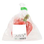 トップバリュグリーンアイオーガニック 和歌山県などの国内産 パプリカ（赤）1個