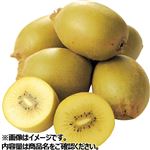 ニュージーランド産 サンゴールドキウイ大パック 1パック 【5月18日のお受取り】