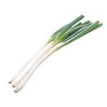 山形県などの国内産 雪中軟白ねぎ 300g