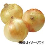 兵庫県などの国内産 たまねぎ袋 （3～4個入）