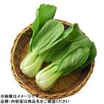 愛知県などの国内産 チンゲンサイ 1袋