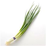 広島県などの国内産 わけぎ 1袋