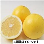 南アフリカ産 ジャクソンフルーツ 4個入