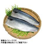 国産原料使用 塩さばフィーレ 2枚 【9月8日～9月10日のお受取り】