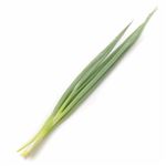 京都府などの国内産 九条ねぎ 1袋