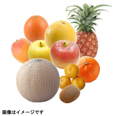 【予約】 果実詰め合わせ 大(10点入)1盛 【6日後以降の配送】