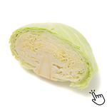 千葉県などの国内産 春キャベツ 1／2カット ※【4月18日～4月20日配送限定】