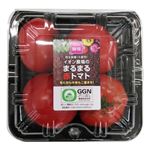 埼玉県などの国内産 イオン農場 まるまる赤トマト 1パック