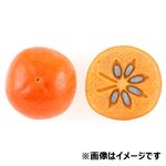 福岡県 などの国内産 かき（早生富有柿）1個
