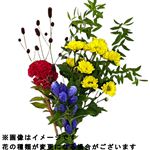 秋の花束 大 1束【置き楽配送指定不可】