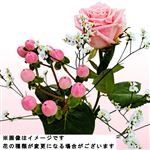 バラブーケS 1束【置き楽配送指定不可】