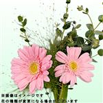 ガーベラブーケM 1束【置き楽配送指定不可】